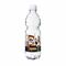 500 ml PromoWater - Mineralwasser zur Fußball Europameisterschaft - Folien-Etikett 2P004Cf