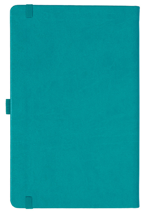 Notizbuch Style Medium im Format 13x21cm, Inhalt kariert, Einband Slinky in der Farbe Turquoise