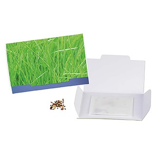 Flower-Card mit Samen - Gras