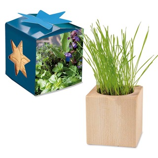 Pflanz-Holz Maxi Star-Box mit Samen - Kräutermischung, 1 Seite gelasert