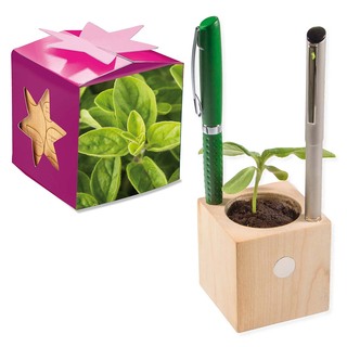 Pflanz-Holz Büro Star-Box mit Samen - Majoran, 1 Seite gelasert