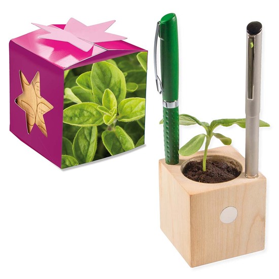 Pflanz-Holz Büro Star-Box mit Samen - Majoran, 1 Seite gelasert